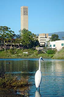 UCSB Storke Tower from lagoon 